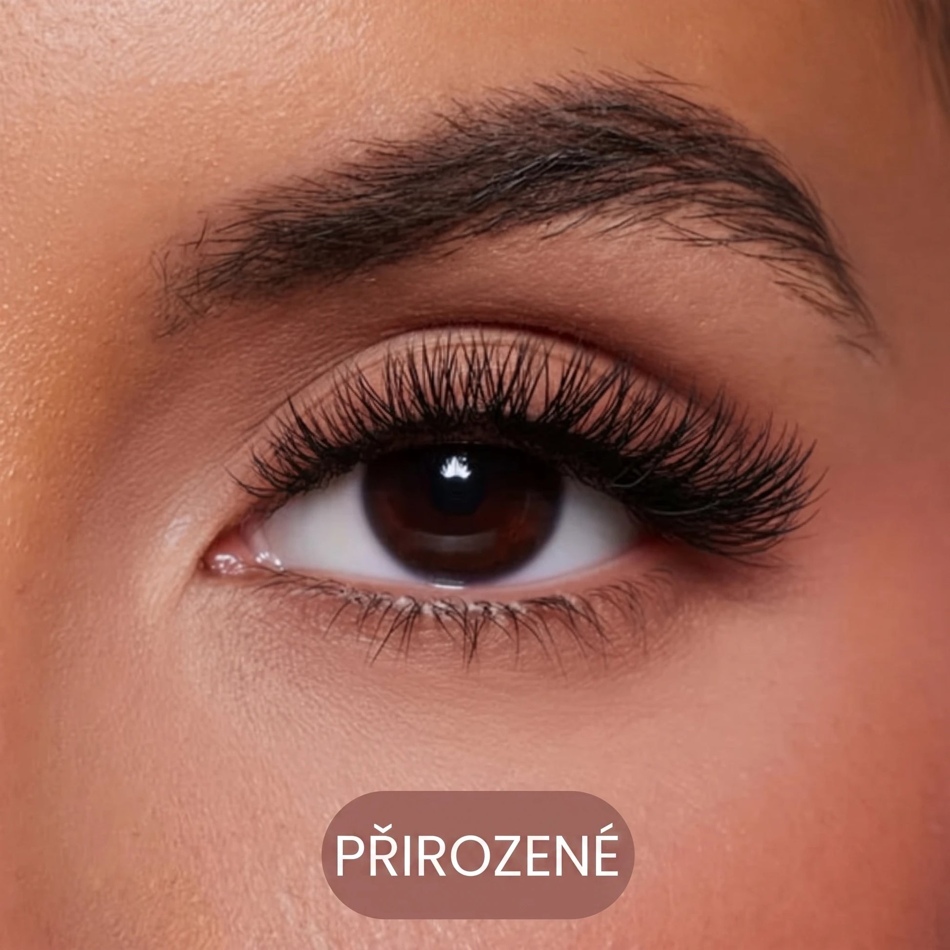 Přirozené magnetické řasy
