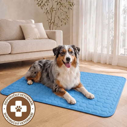 Chladicí podložka doporučovaná veterináři