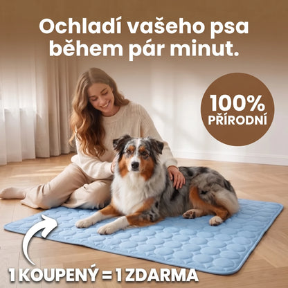Ochladí vašeho psa během pár minut