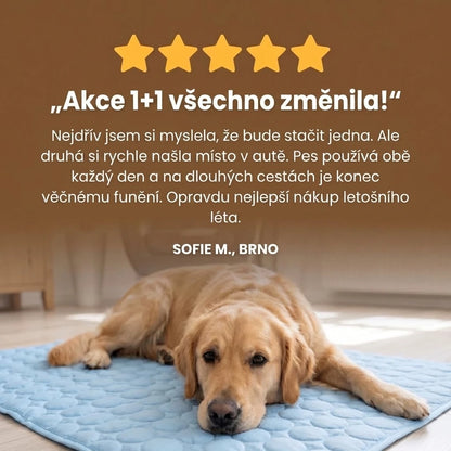Recenze zákaznice – Sofie M., Brno