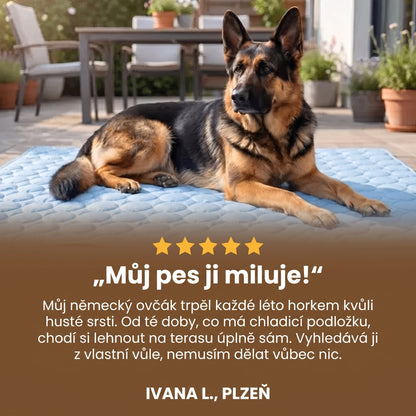 Recenze zákaznice – Ivana L., Plzeň